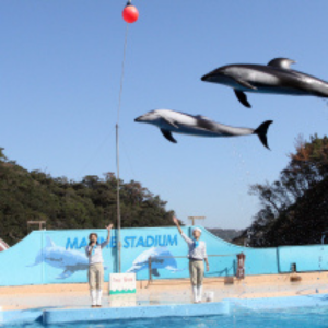 下田海中水族館