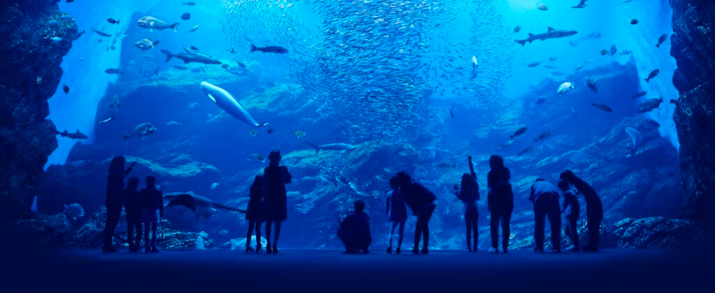 仙台うみの杜水族館