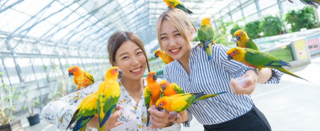 掛川花鳥園