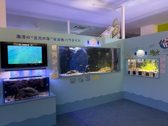 岸壁エリア