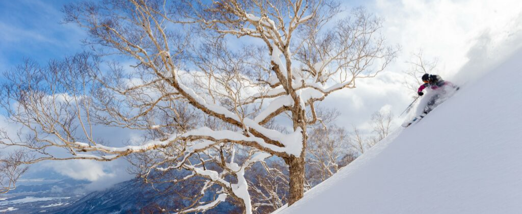 妙高杉ノ原スキー場